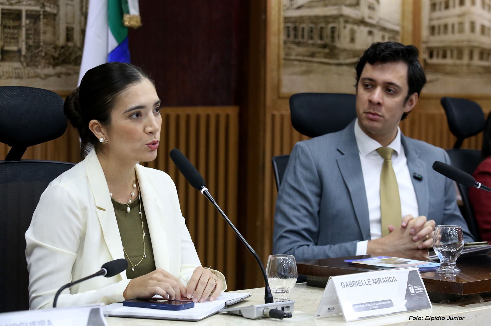 DPERN participa de audiência na Câmara de Natal sobre destinação do Imposto de Renda para projetos sociais